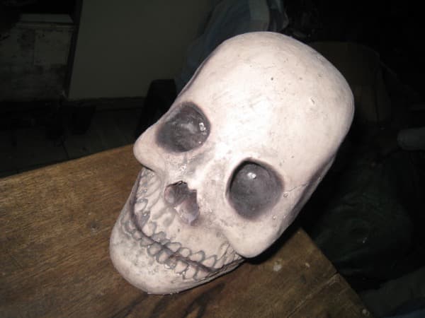 Kids Skull Decor Costume