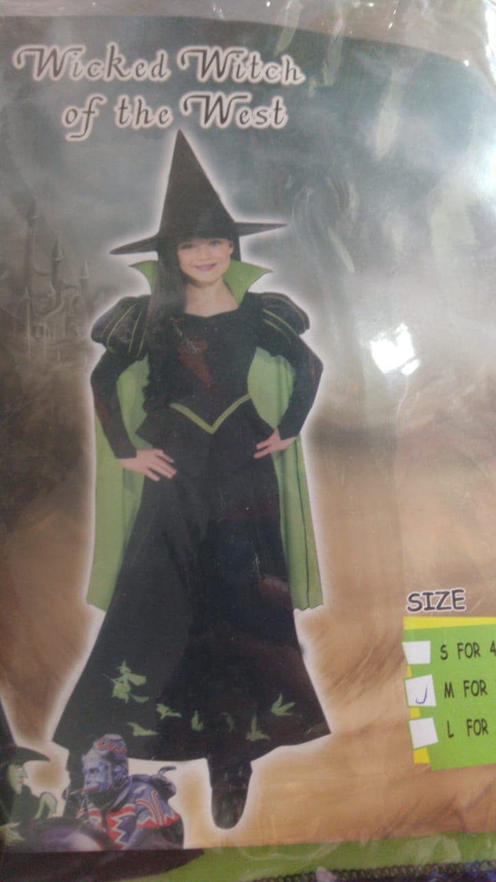 Kids Wicked Witch West Costume