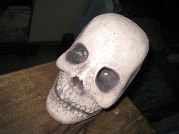HA29 Skull Decor