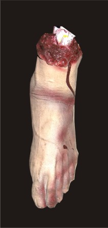 HA30A Leg Decor