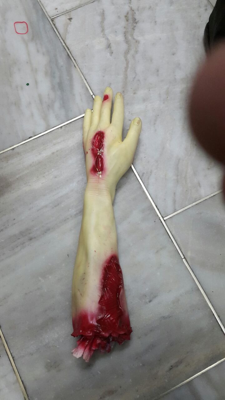 HA44 Cut Hand - Decor