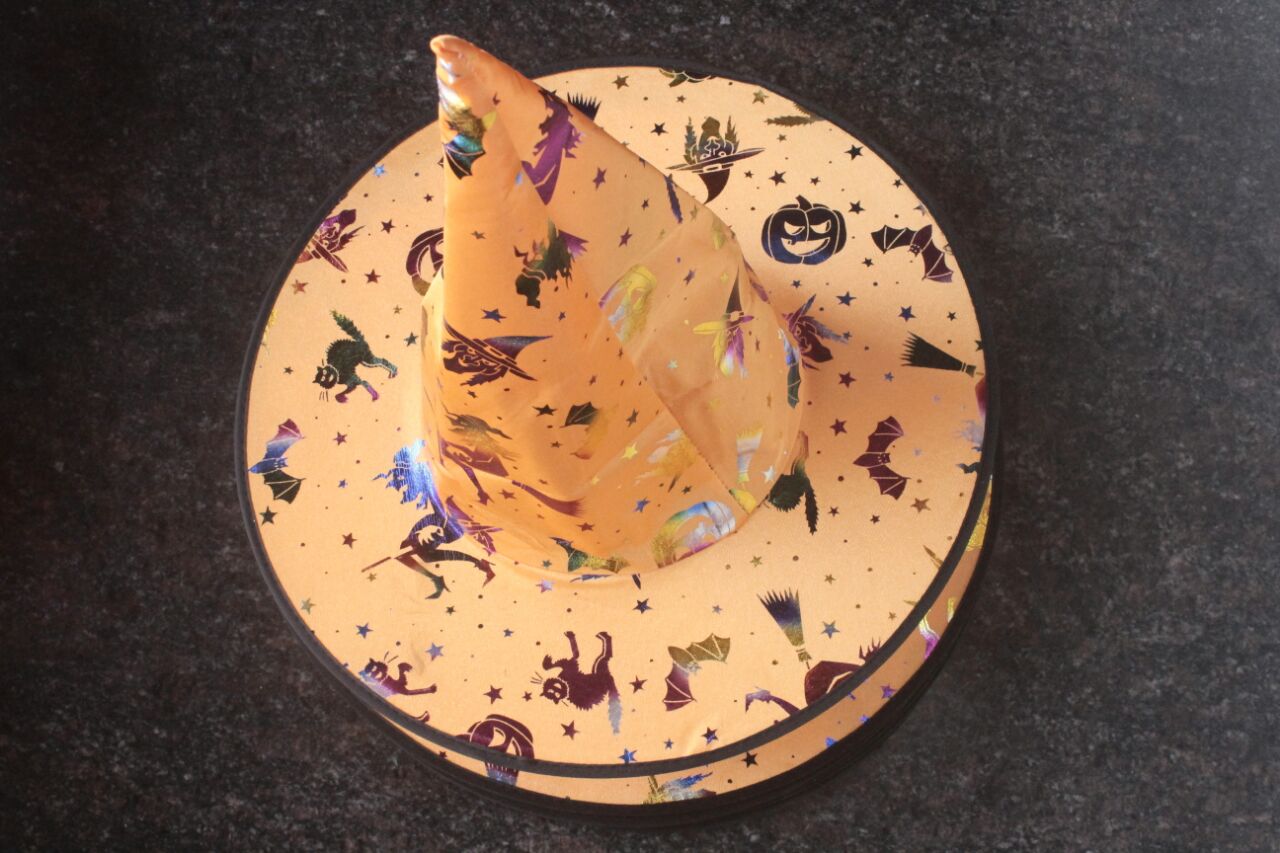 HA82 Witch/Wizard Hat