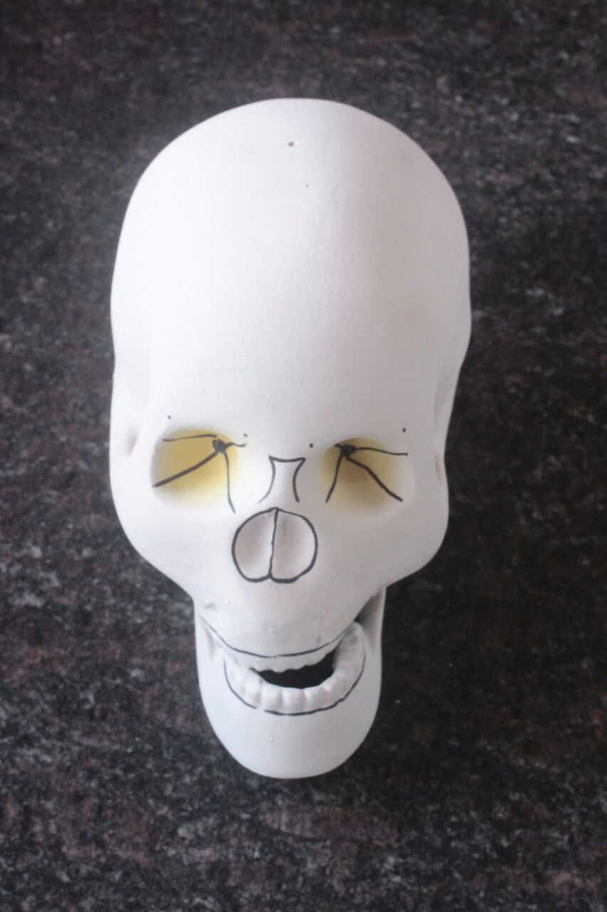 Kids Skull Head Costume