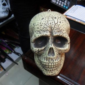 HA20 Skull Decor