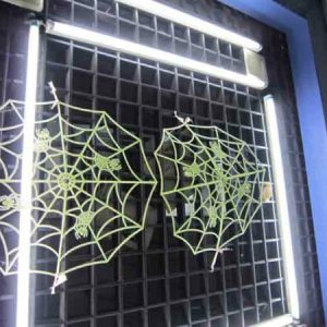 HA25 Glow In Dark - Spider Web