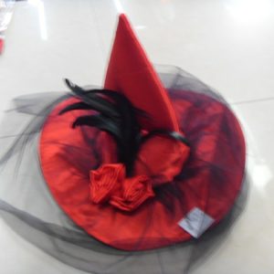 HA28 Witch Hat