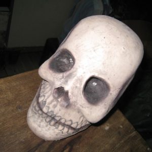 HA29 Skull Decor
