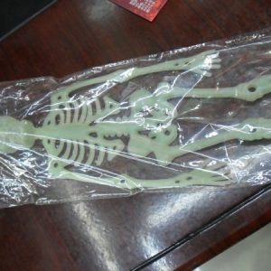 HA30 Glow in Dark - Skeleton Decor