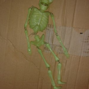 HA60 Musical Dancing Skeleton