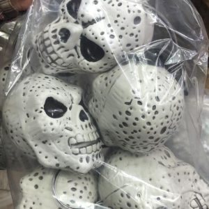 HA166 Big Skull Necklace